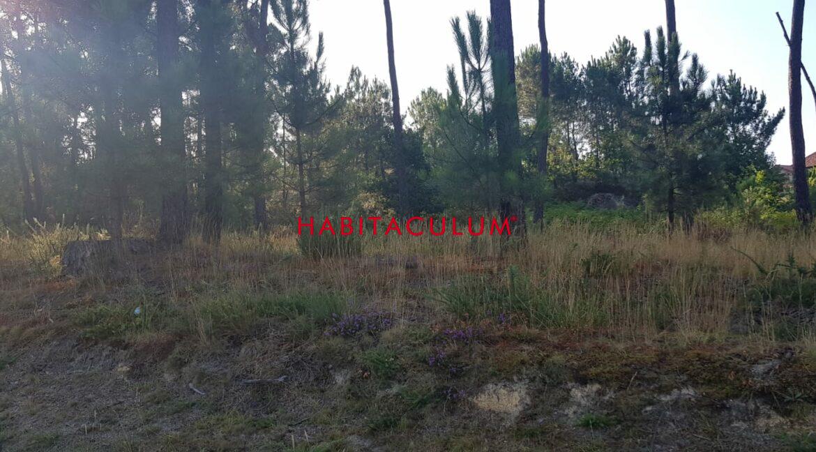 PHOTO-2019-07-30-19-47-23