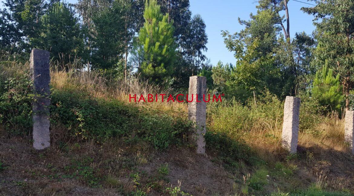 PHOTO-2019-07-30-19-47-25