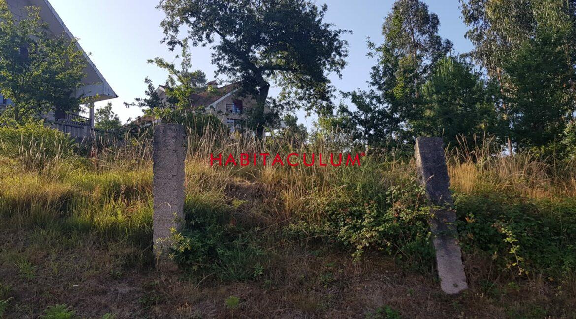 PHOTO-2019-07-30-19-47-26