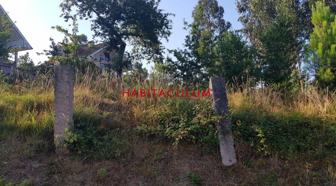 PHOTO-2019-07-30-19-47-27