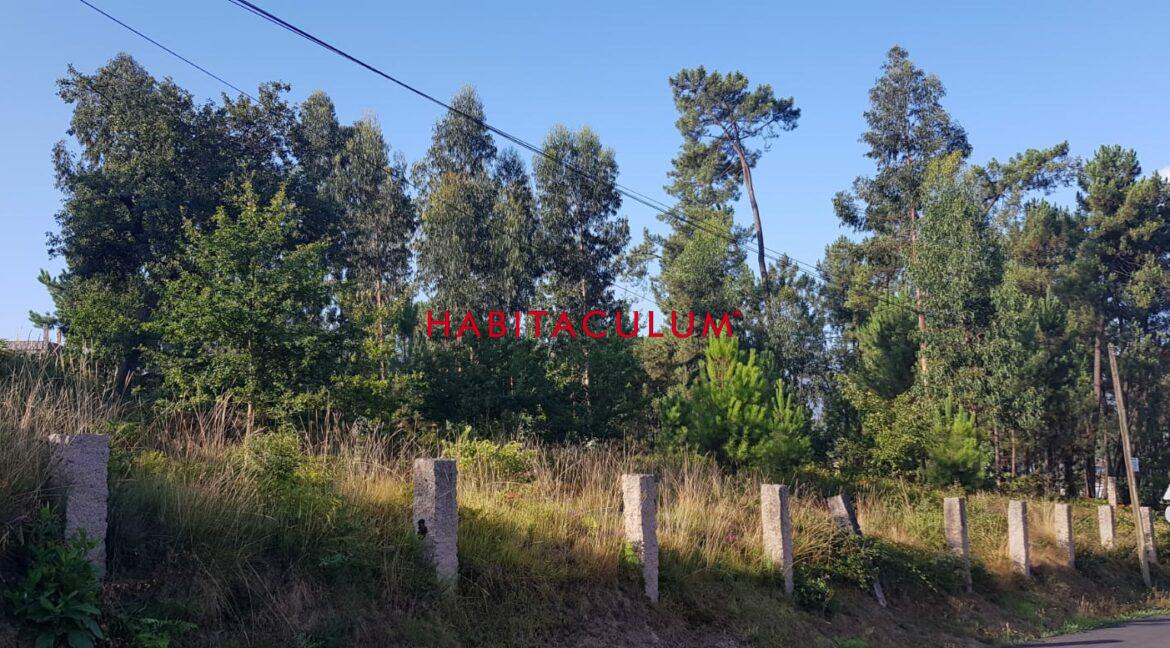 PHOTO-2019-07-30-19-47-28