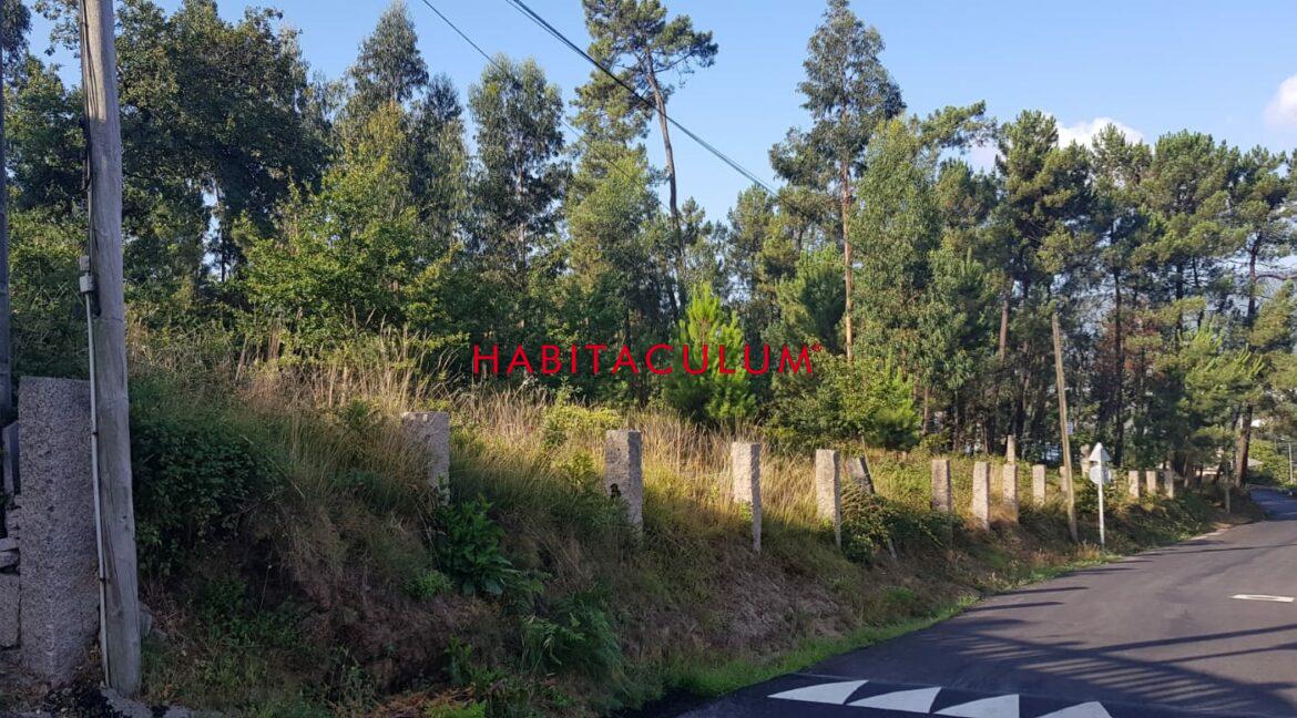 PHOTO-2019-07-30-19-47-29