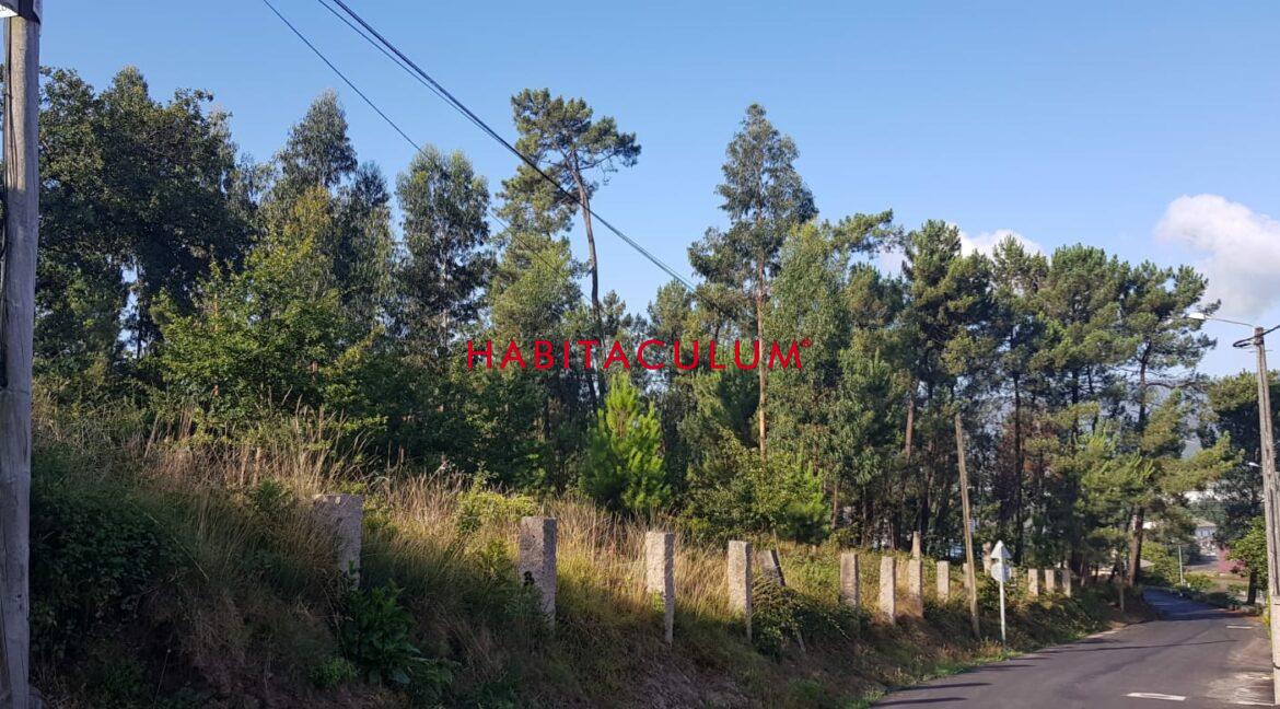 PHOTO-2019-07-30-19-47-31