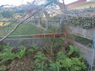 8aa88ad0-8314-4cfa-8b37-feafb4c595af